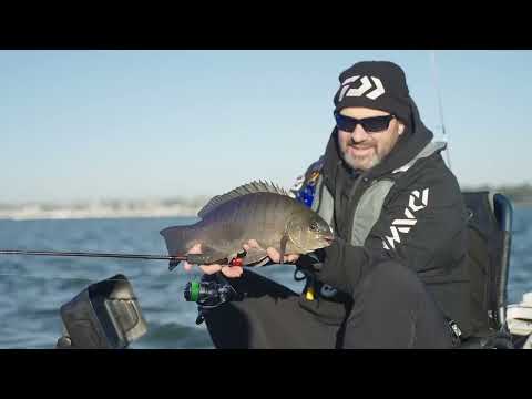 Charger la vidéo :