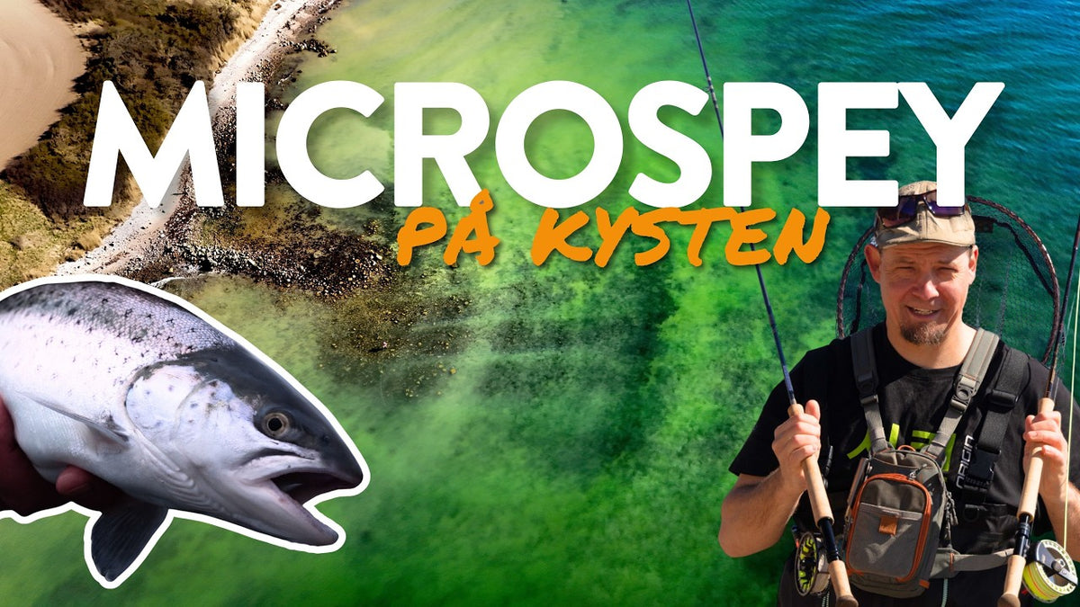 Fisketeknik: Microspey på kysten med let tohåndsgrej