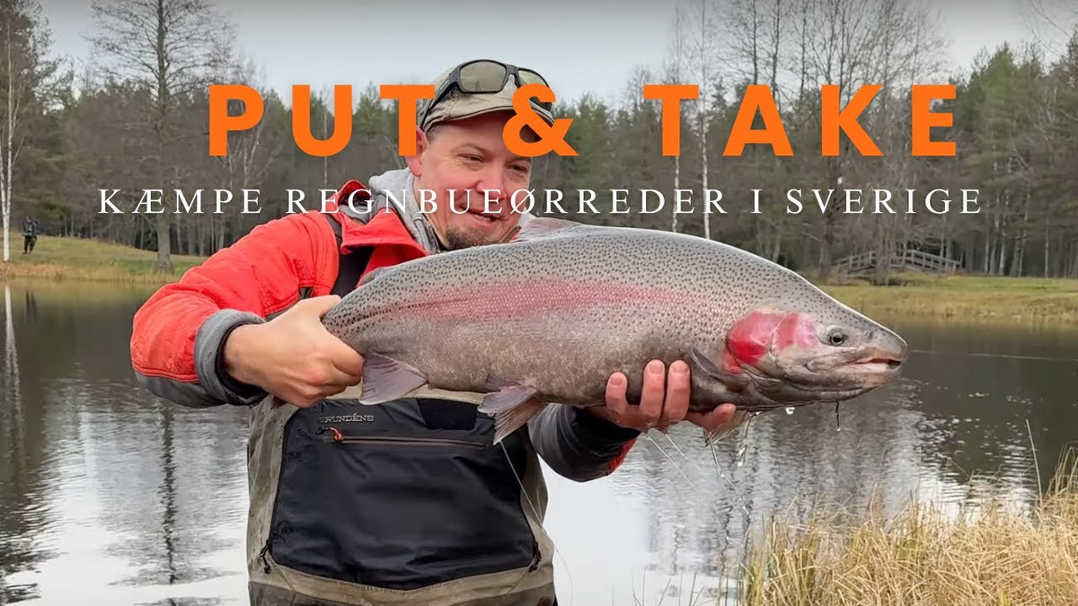 Fluebinding: Gold Digger, farvevalg og flueskift