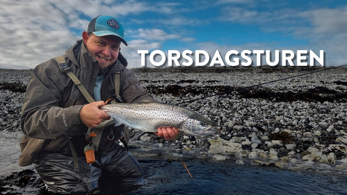Torsdagsturen: Fra grumset vand til fisk på kysten