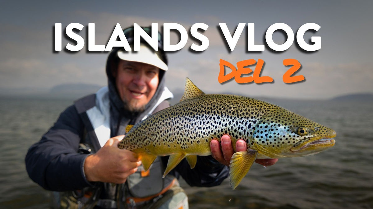 Torsdagsturen: Streamere, nymfer og skiftende fiskeri på Island