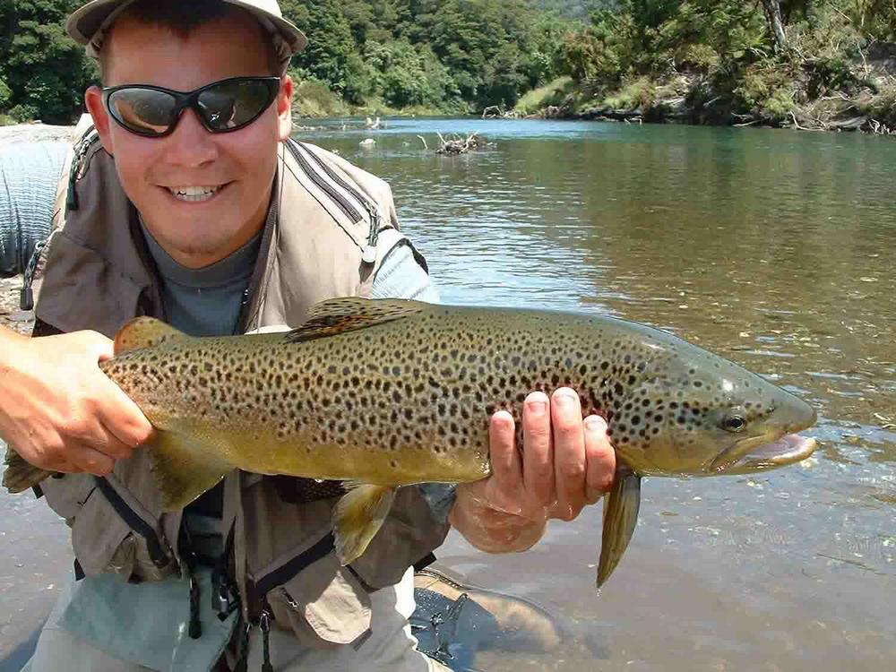 (Bronze Grade) Whiting Hebert Miner Dryfly - Light Ginger Dun