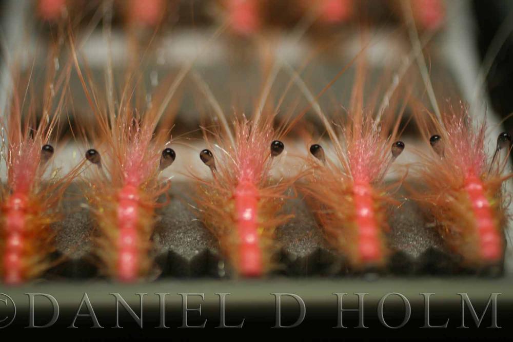 Whiting Coq de leon Cape - Badger Hot Pink