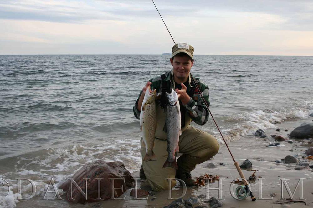 Whiting Coq de leon Cape - Medium Pardo