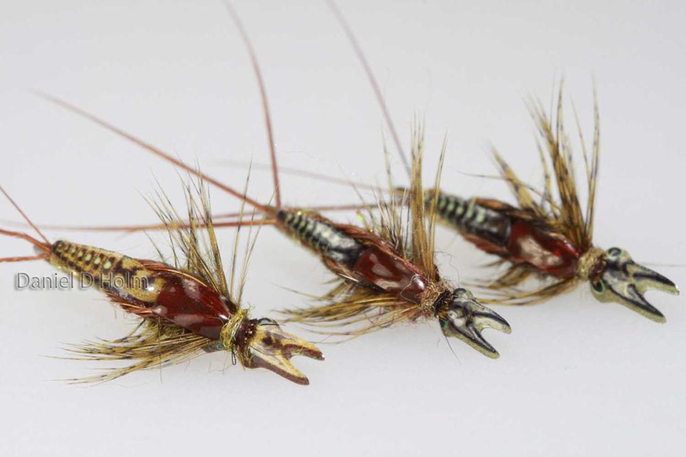 Pheasant Tail Feather - Natural