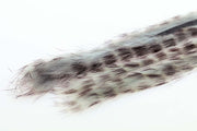 3 mm Rabbit Barred Zonkerstrip - Shad Grey