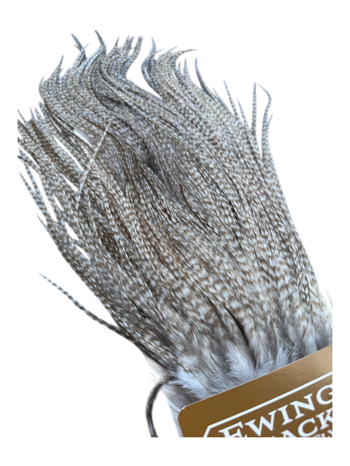 Ewing Special #1 unique Sadel - Ghost barred grizzly 2