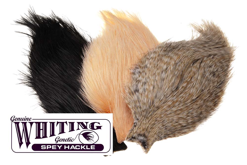 Whiting Spey Hackle Rooster Cape – Silver