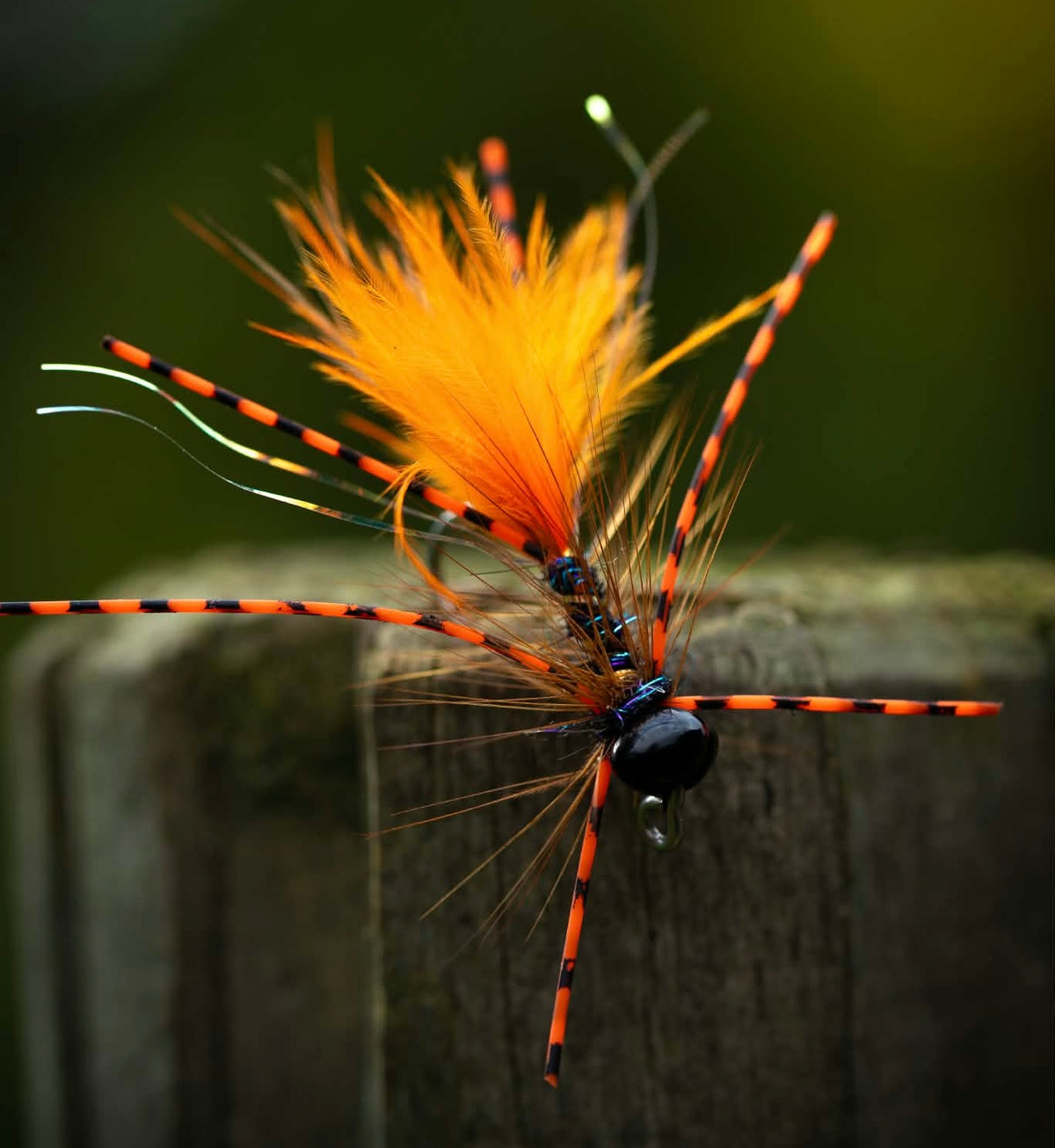 Nærbillede af en flue med orange fjer, brune fibre, orange-sorte stribede ben og et blankt sort hoved.