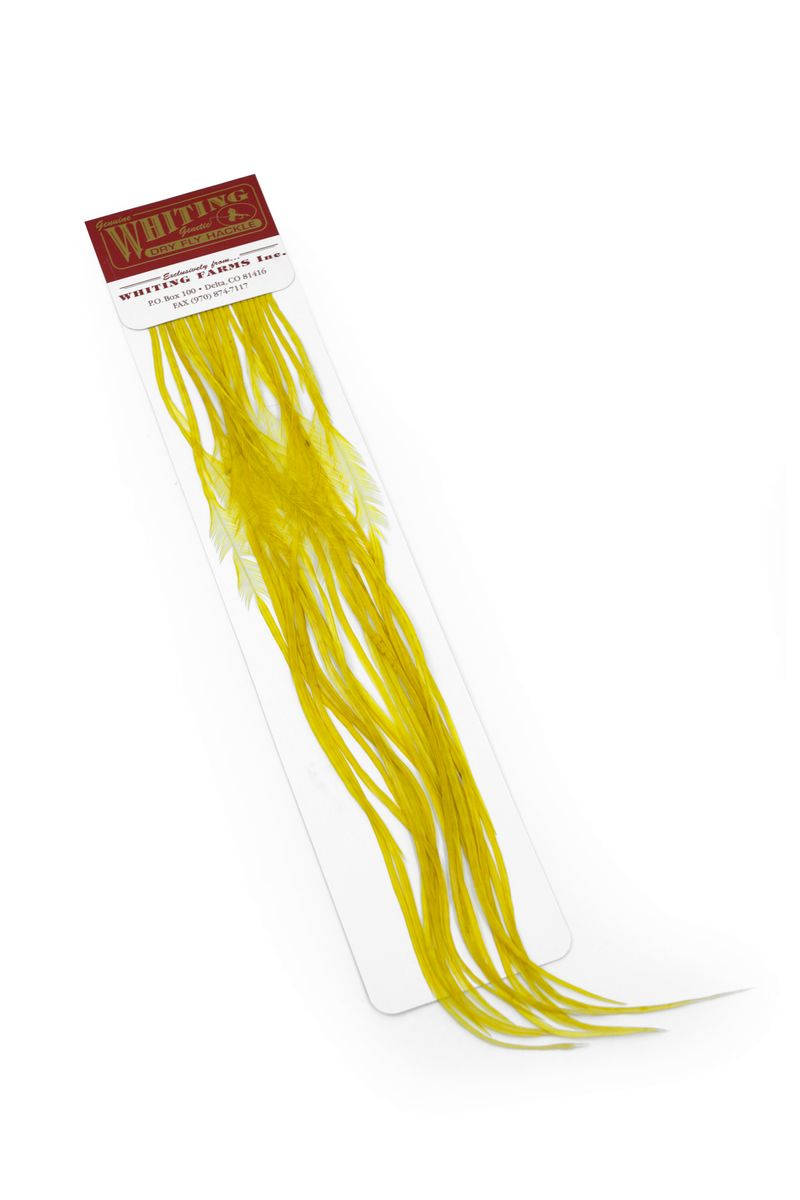 Whiting 100-pk – Size 22 â€“ dealerweb-cms-7d95f340-c1ef-4309-9d42-b3d947791205.jpg