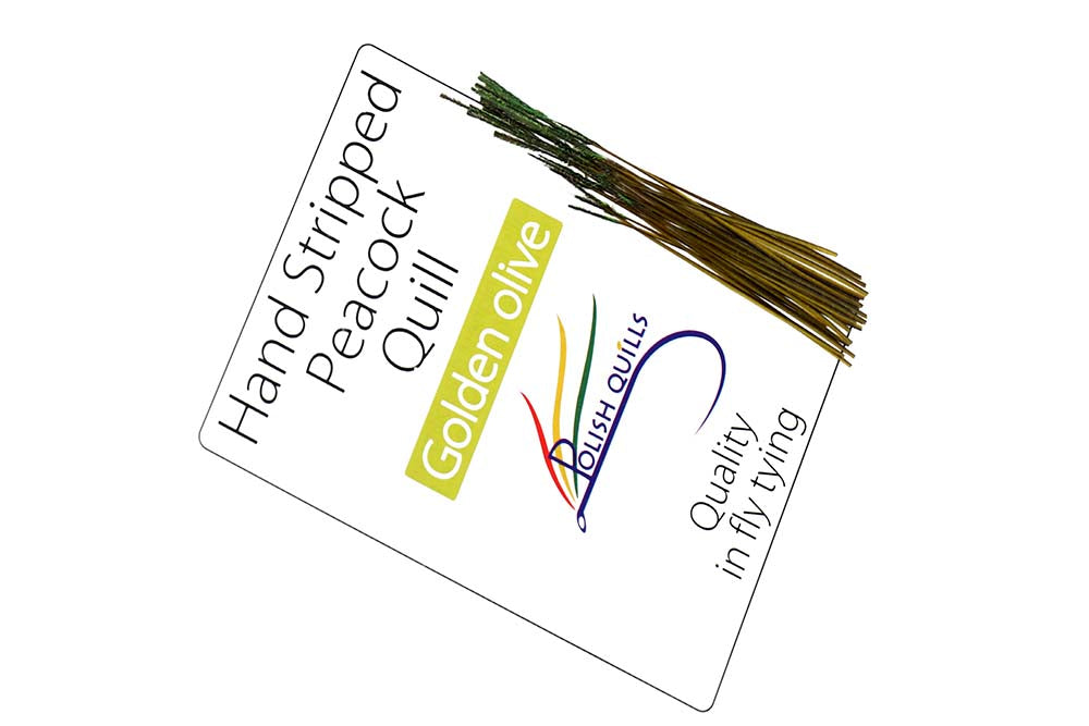 Hand Stripped Peacock Quill - Golden Olive