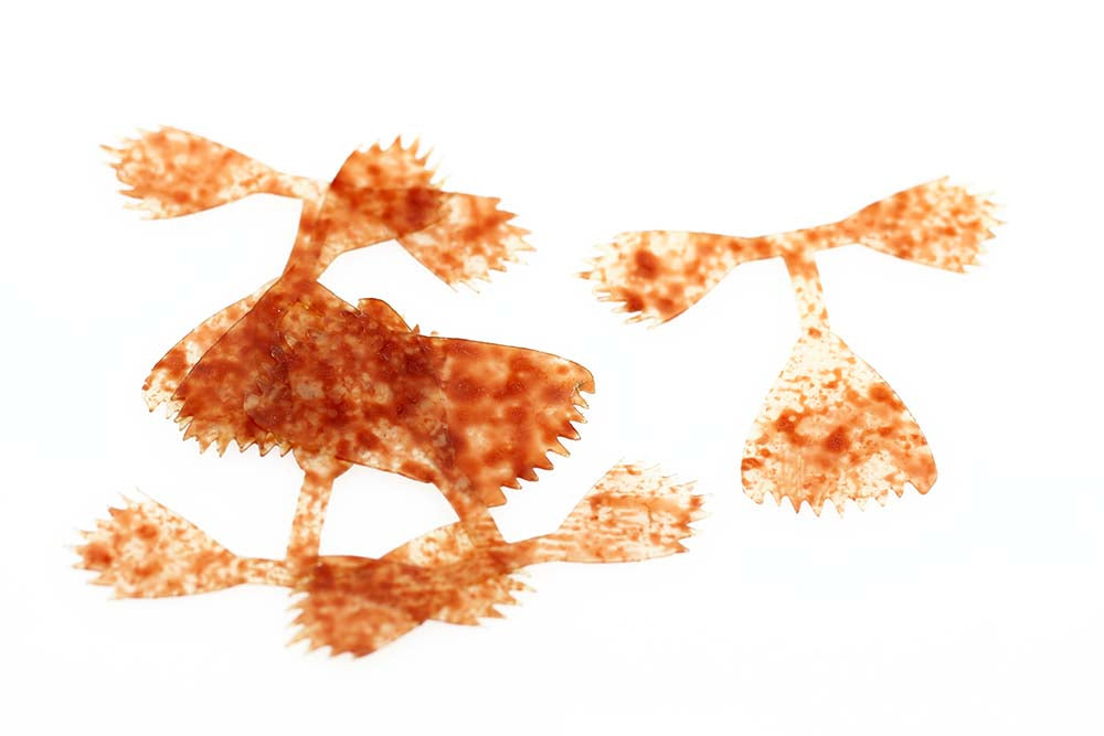 Kiley's Fish Finz - Mottled Rust