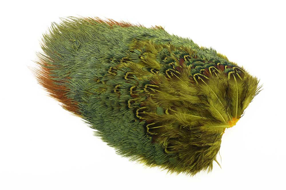 Ringneck Rump Patch - Golden Yellow