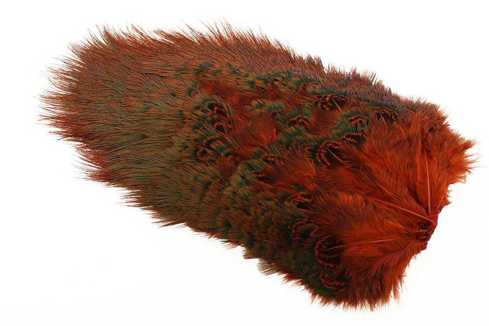 Ringneck Rump Patch - Orange