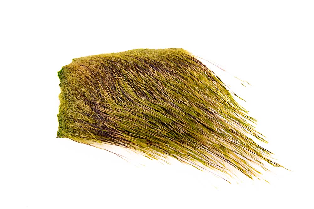 Vildsvinebørster (Boar bristle) - Chartreuse