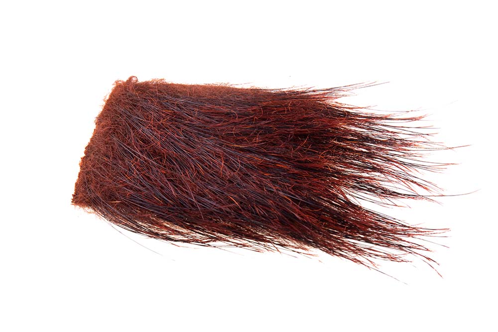 Vildsvinebørster (Boar bristle) - Phatakorva