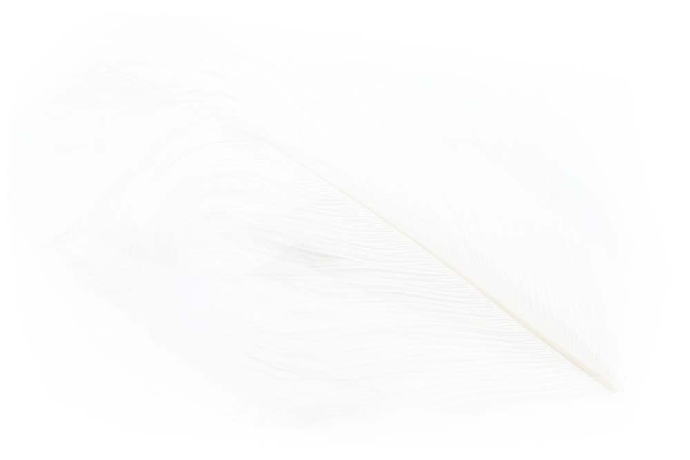 Struds Herl - White