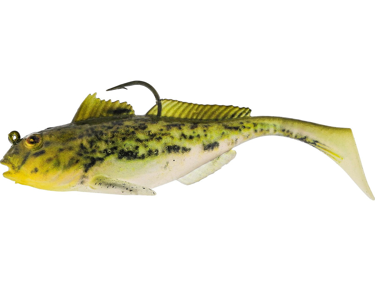 Fairpoint P242-1119-300