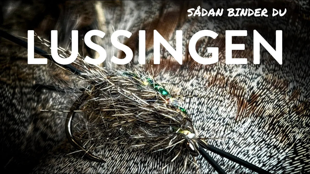 Lussingen