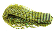 Sili Legs Barred - Olive/Green