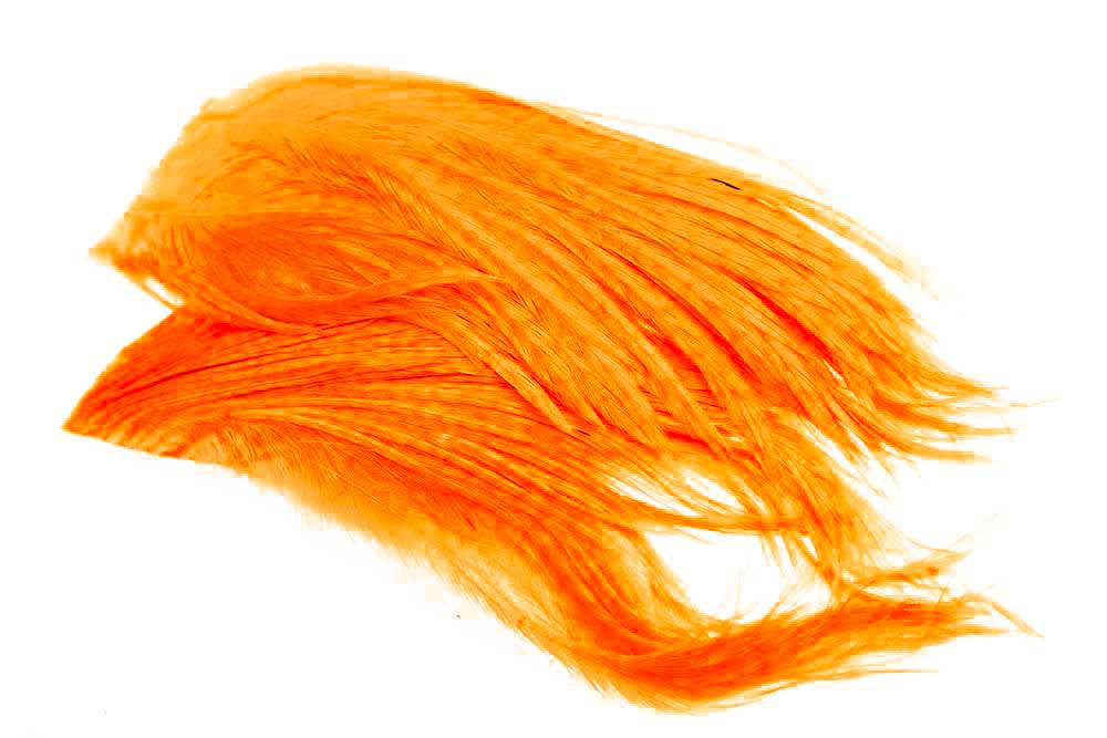 Hane Hackler - Fl.Orange