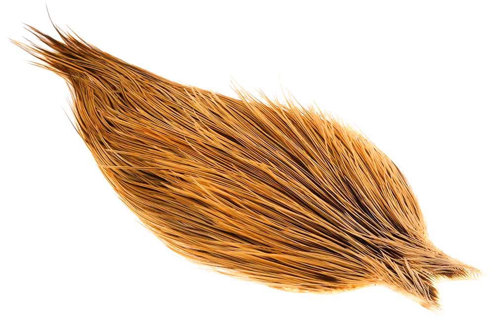 (Pro Grade) Whiting Red Label - Golden Badger